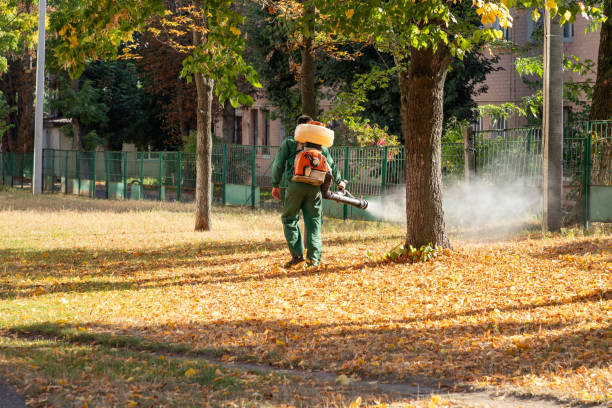 Best Pest Control Cost  in USA